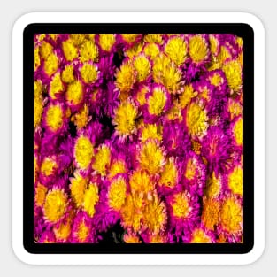 Bright Pink Yellow Flowers Sticker